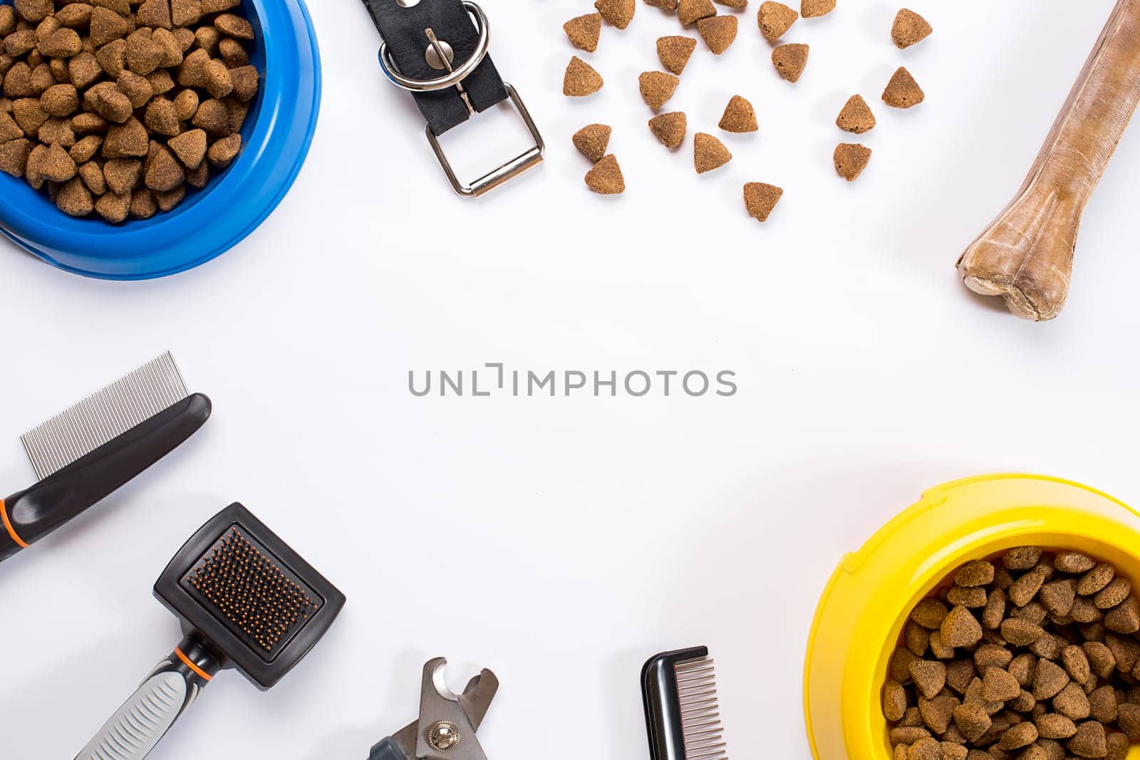 Collar, bowl with feed, leash, delicacy, combs and brushes for dogs. Isolated on white background. Top view. Still life. Copy space