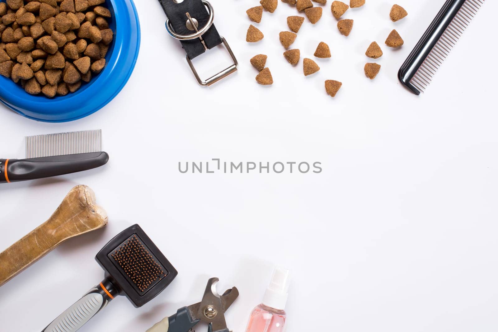 Collar, bowl with feed, leash, delicacy, combs and brushes for dogs. Isolated on white background. Top view. Still life. Copy space