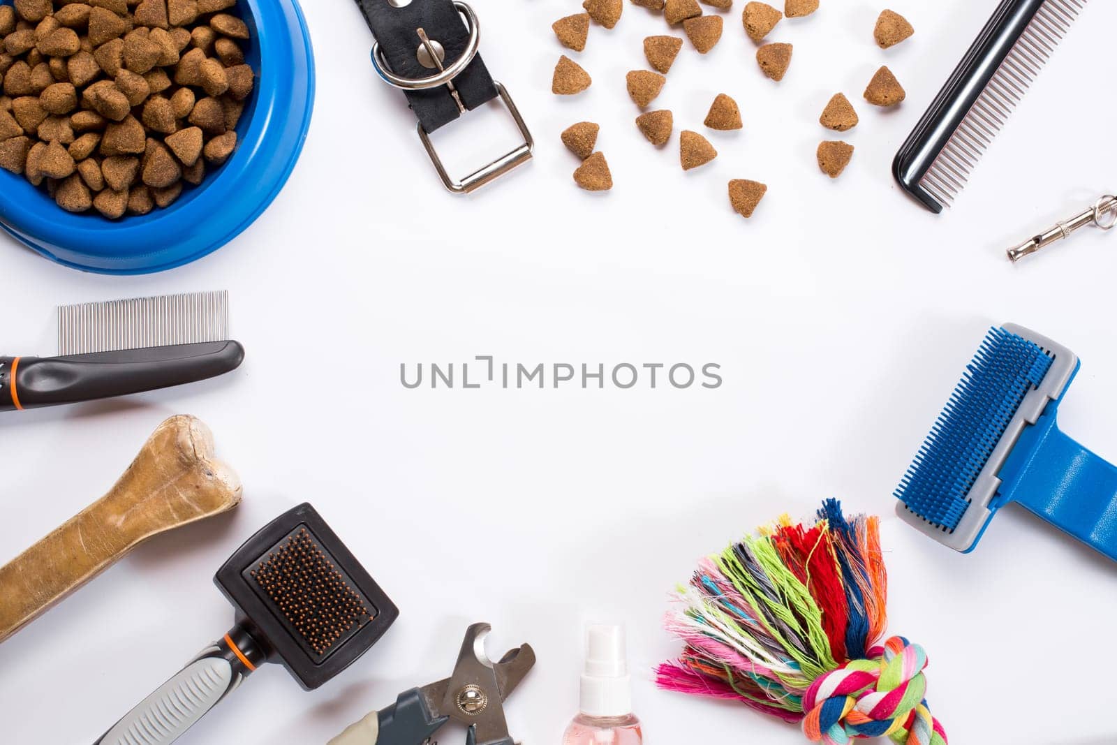 Collar, bowl with feed, leash, delicacy, combs and brushes for dogs. Isolated on white background. Top view. Still life. Copy space