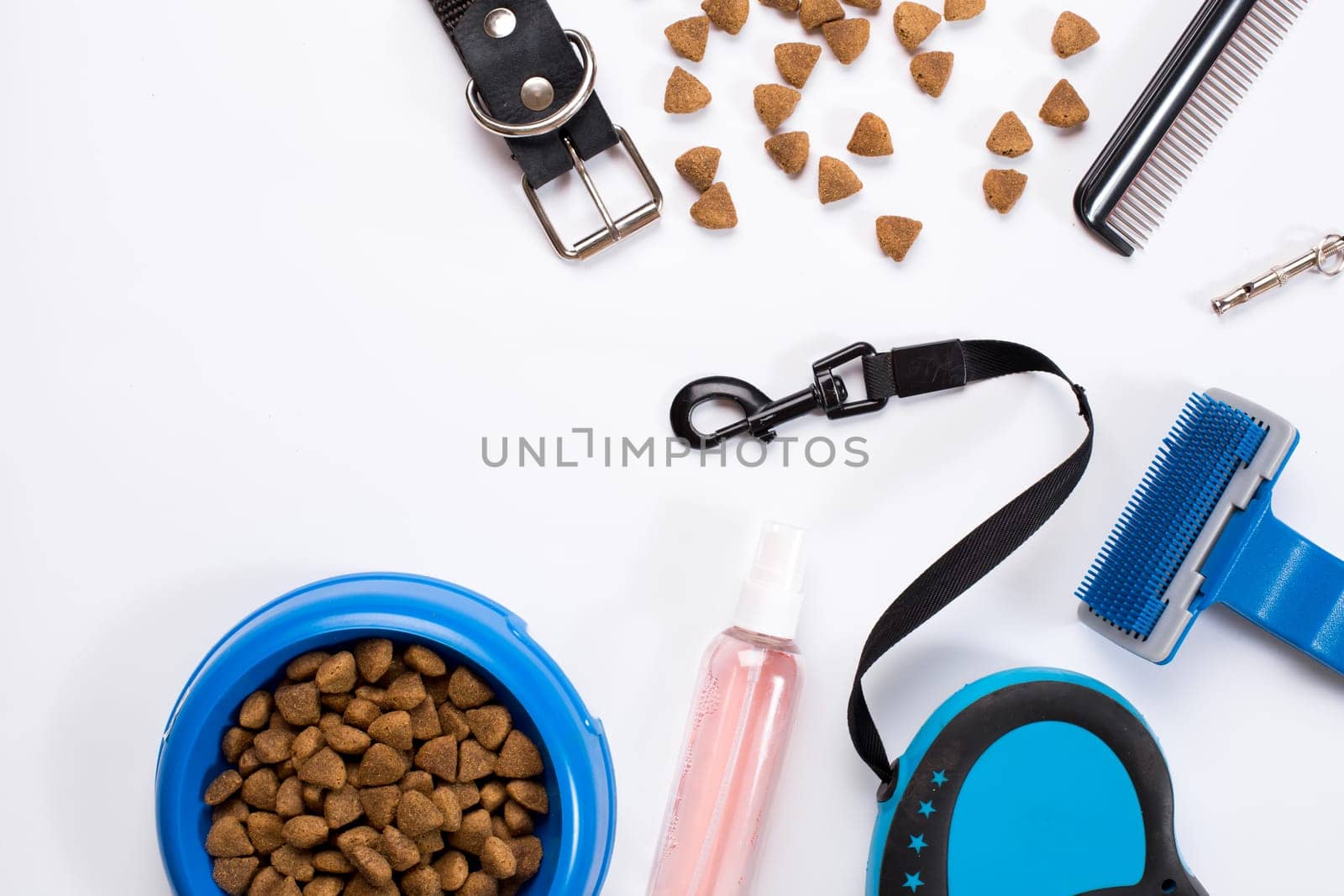 Collar, bowl with feed, leash, delicacy, combs and brushes for dogs. Isolated on white background. Top view. Still life. Copy space