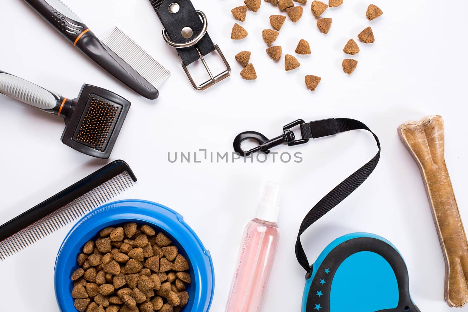 Collar, bowl with feed, leash, delicacy, combs and brushes for dogs. Isolated on white background. Top view. Still life. Copy space