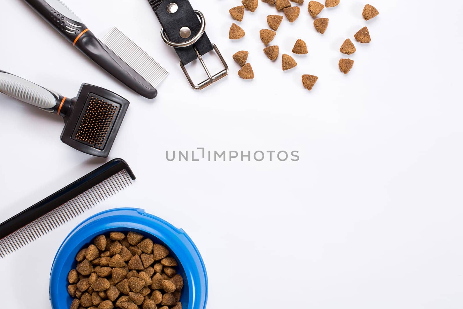 Collar, bowl with feed, leash, delicacy, combs and brushes for dogs. Isolated on white background. Top view. Still life. Copy space