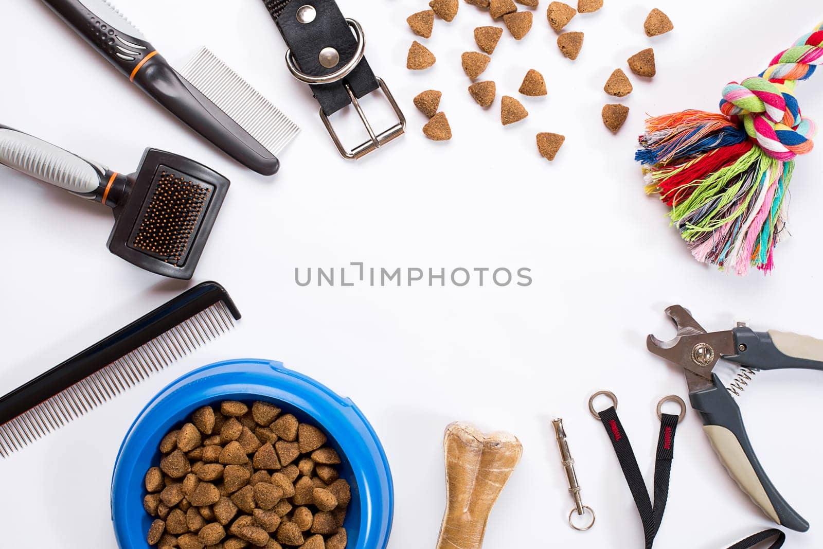 Collar, bowl with feed, leash, delicacy, combs and brushes for dogs. Isolated on white background. Top view. Still life. Copy space