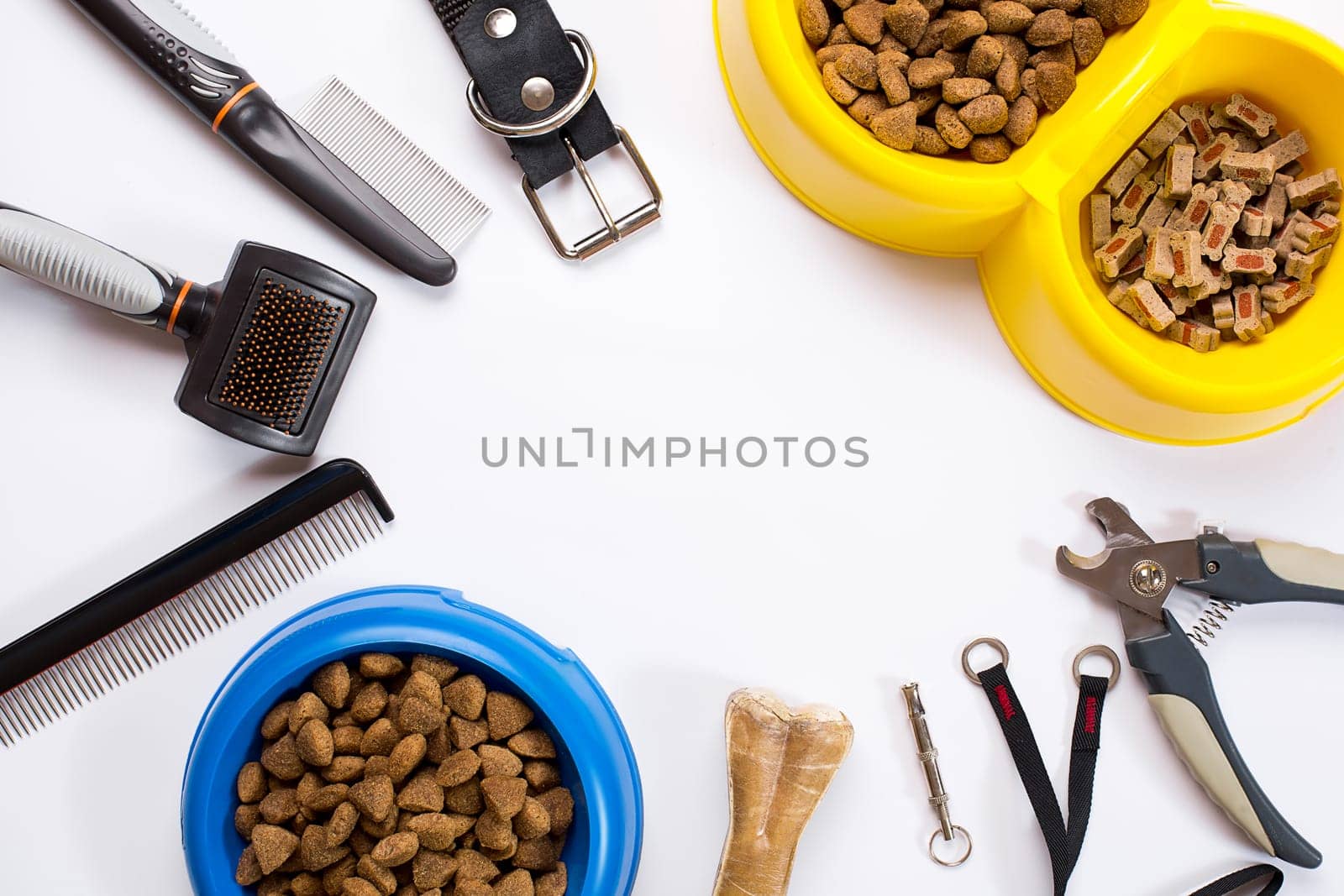Collar, bowl with feed, leash, delicacy, combs and brushes for dogs. Isolated on white background. Top view. Still life. Copy space
