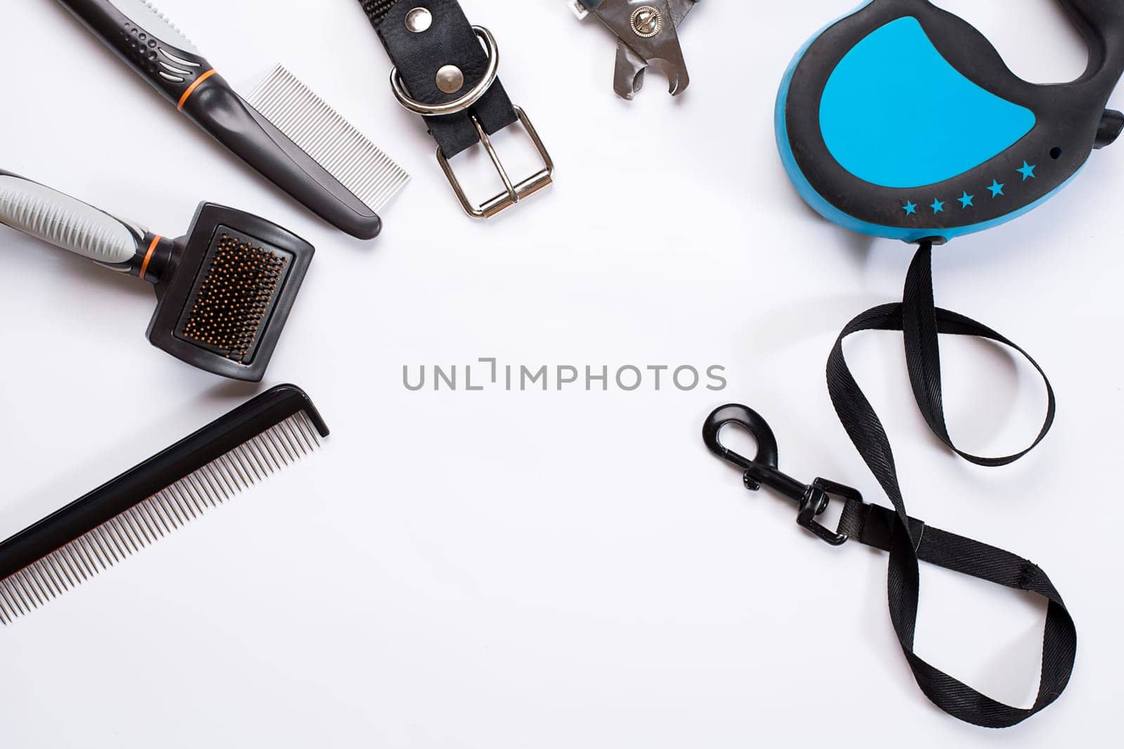 Collar, leash, delicacy, combs and brushes for dogs. Isolated on white background. Top view. Still life. Copy space