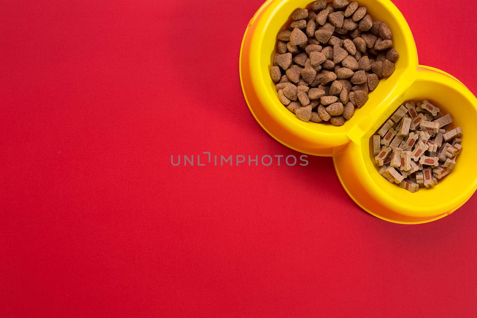 dry pet food in bowl on red background top view. Still life. Copy space
