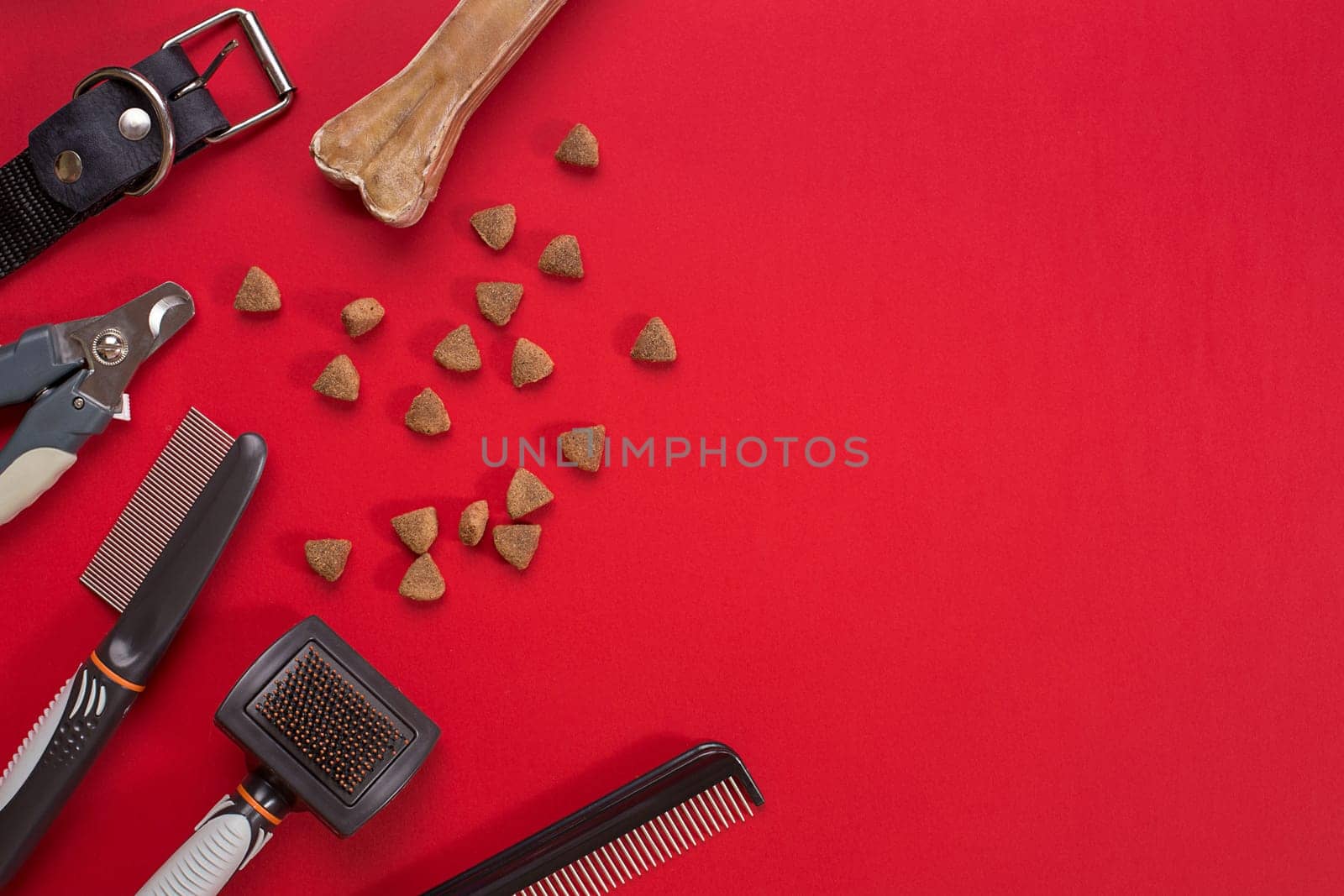 Acessories for the grooming of the dog. Combs and brushes for dogs. Top view. Still life. Copy space