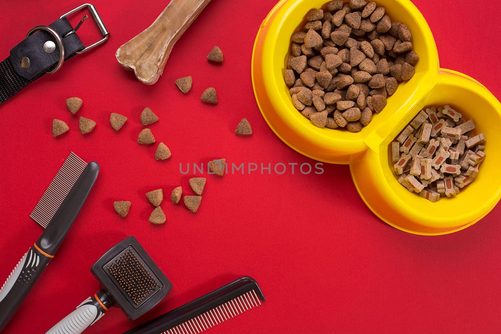 Acessories for the grooming of the dog. Combs and brushes for dogs. Top view. Still life. Copy space
