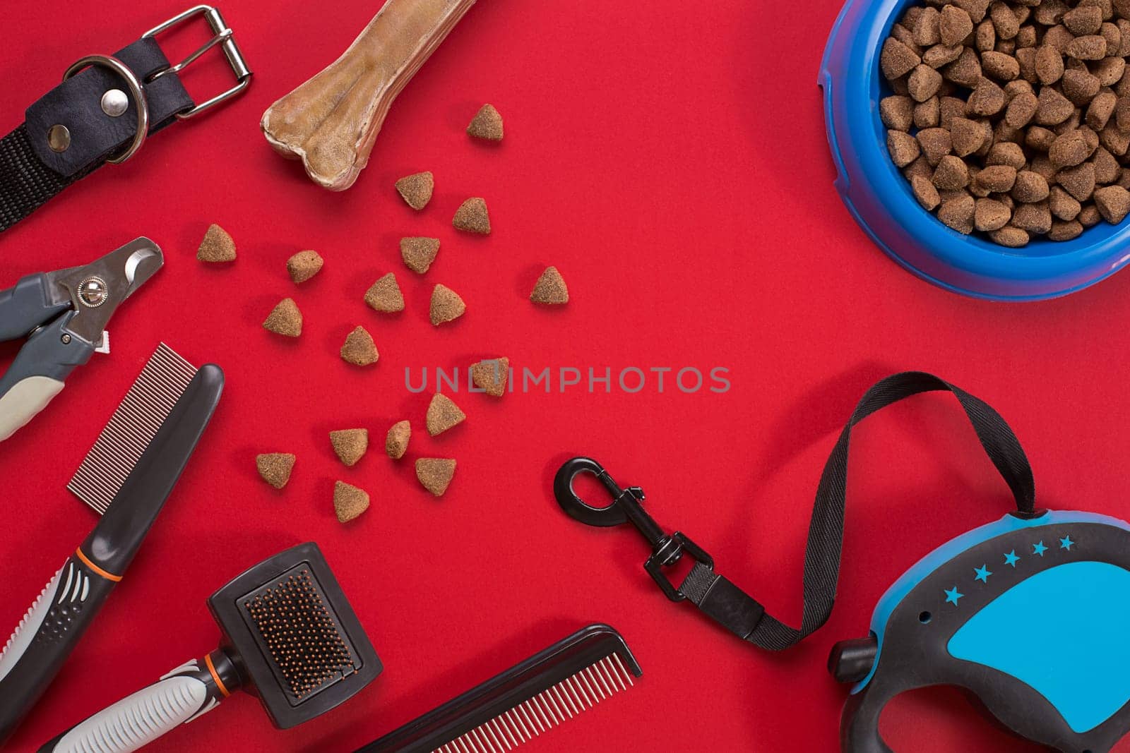 Collar, bowl with feed, leash, delicacy, combs and brushes for dogs. Isolated on red background by nazarovsergey