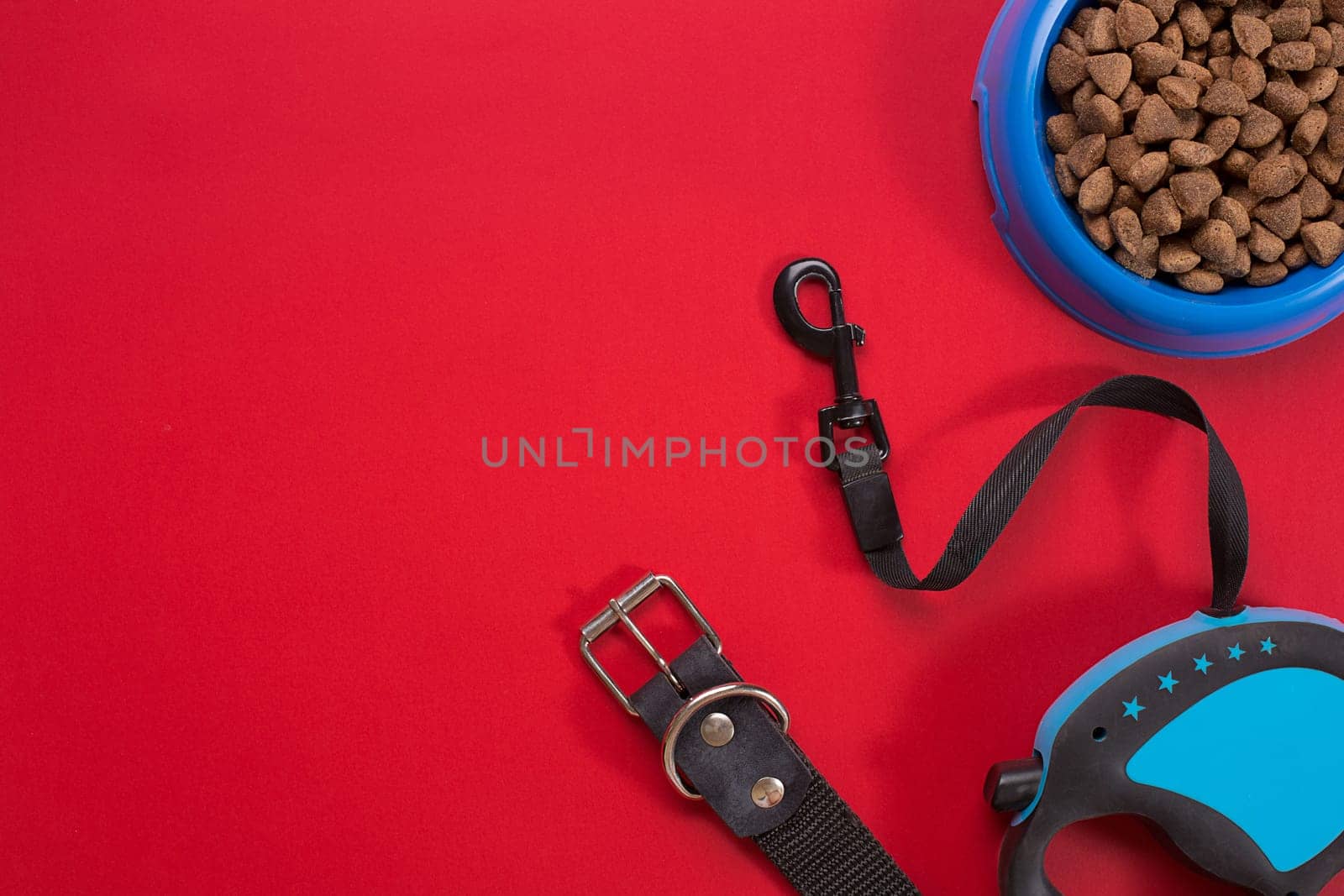 Collar, blue bowl with feed, leash and delicacy for dogs. Isolated on red background. Top view. Still life. Copy space