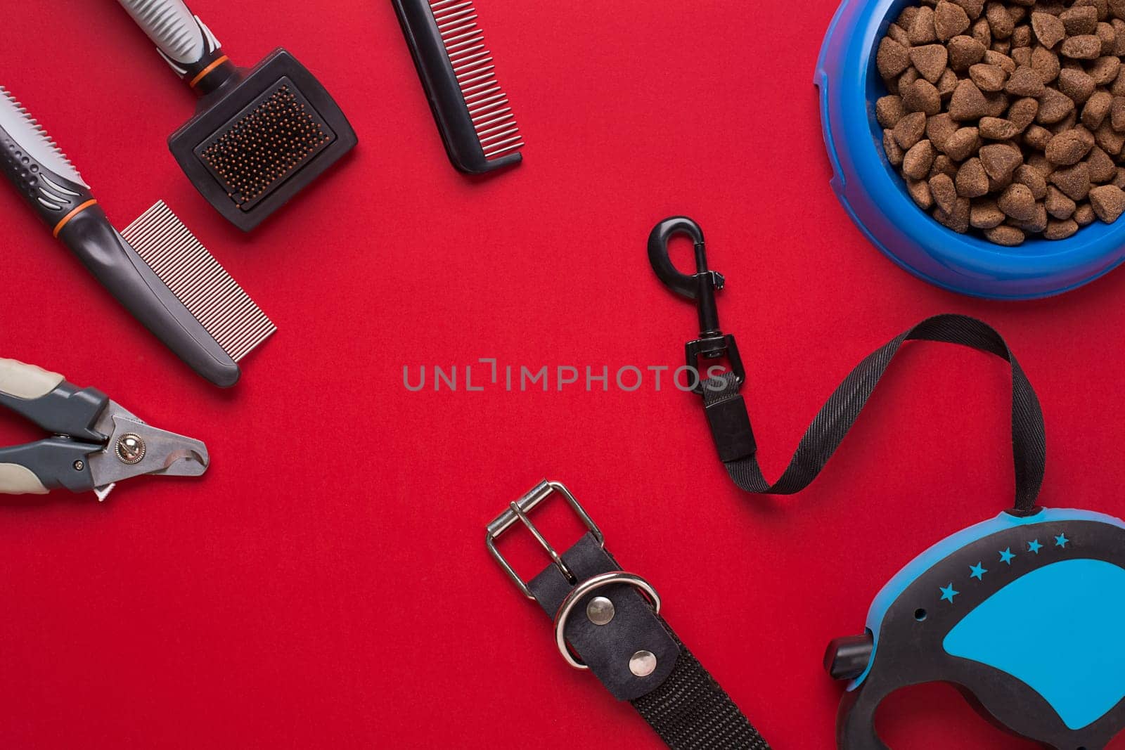 Collar, bowl with feed, leash, delicacy, combs and brushes for dogs. Isolated on red background. Top view. Still life. Copy space