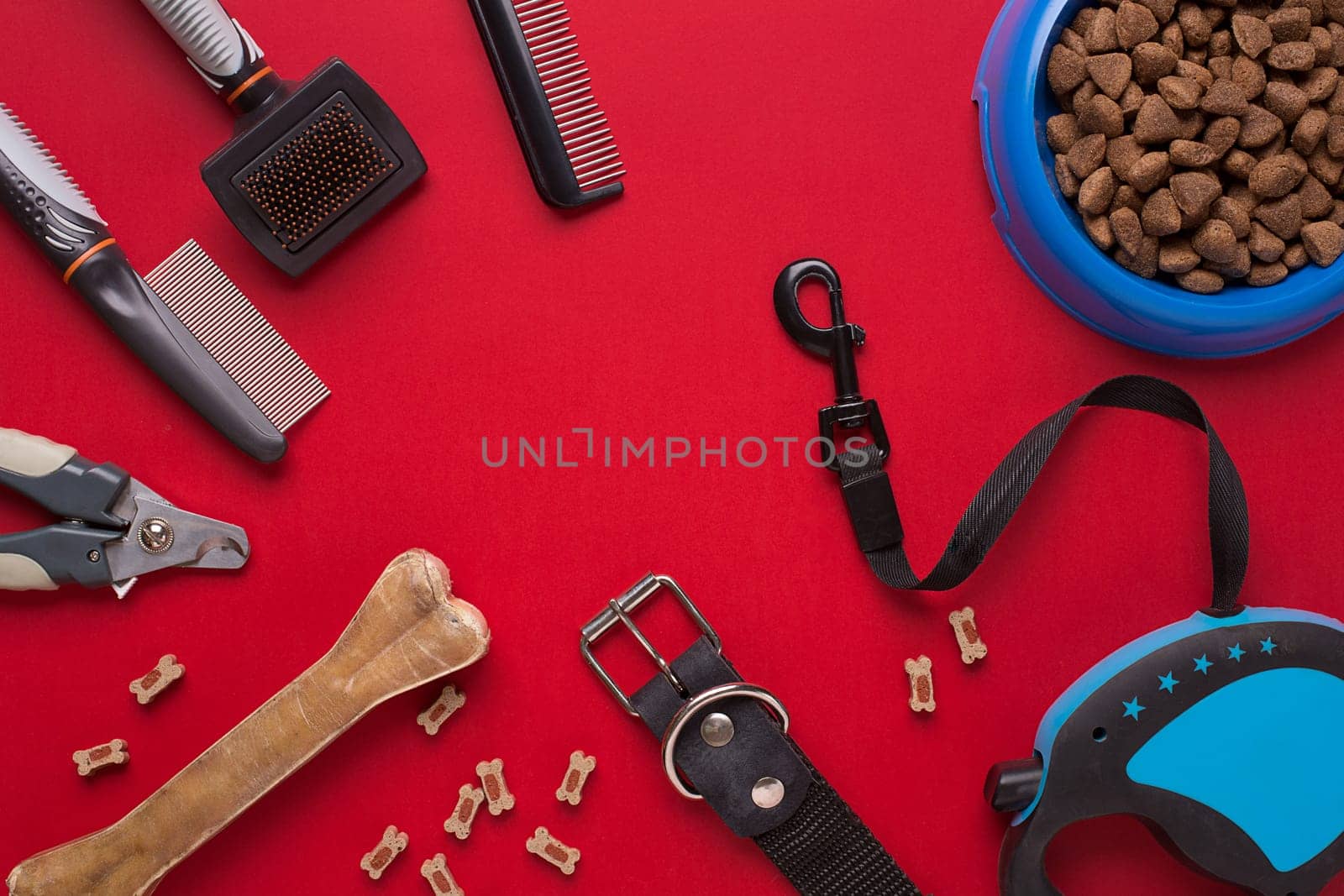Collar, bowl with feed, leash, delicacy, combs and brushes for dogs. Isolated on red background. Top view. Still life. Copy space