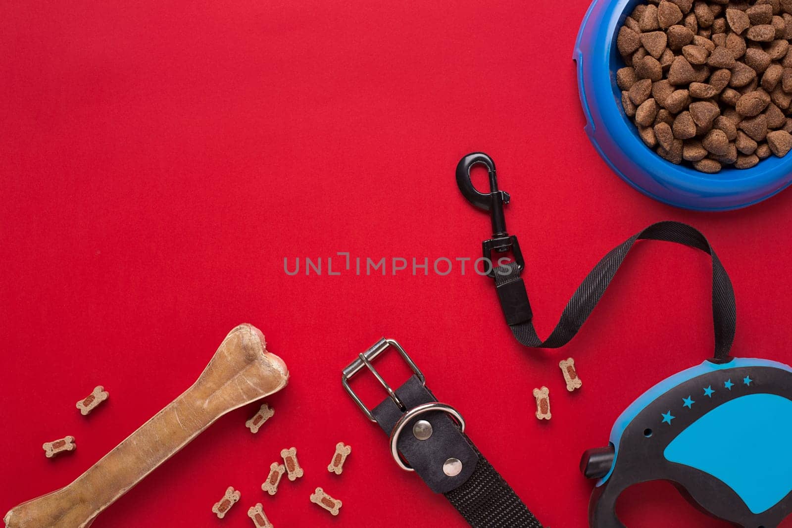 Collar, blue bowl with feed, leash and delicacy for dogs. Isolated on red background. Top view. Still life. Copy space