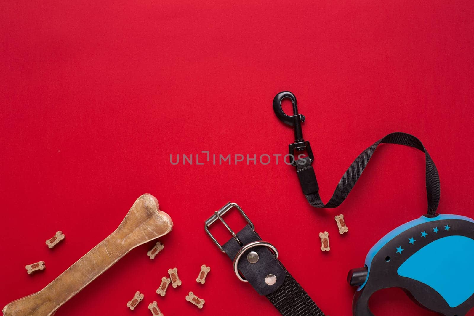 Collar, blue bowl with feed, leash and delicacy for dogs. Isolated on red background. Top view. Still life. Copy space