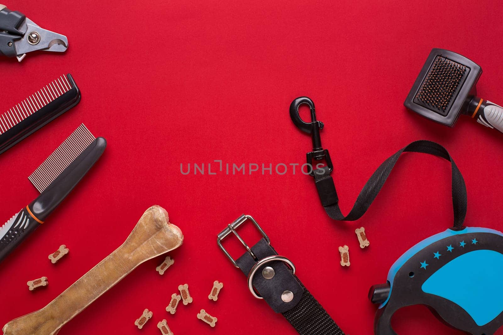 Collar, bowl with feed, leash, delicacy, combs and brushes for dogs. Isolated on red background. Top view. Still life. Copy space