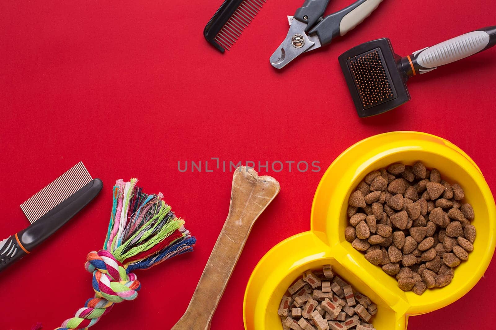 Pet accessories on red background. Top view. Still life. Copy space