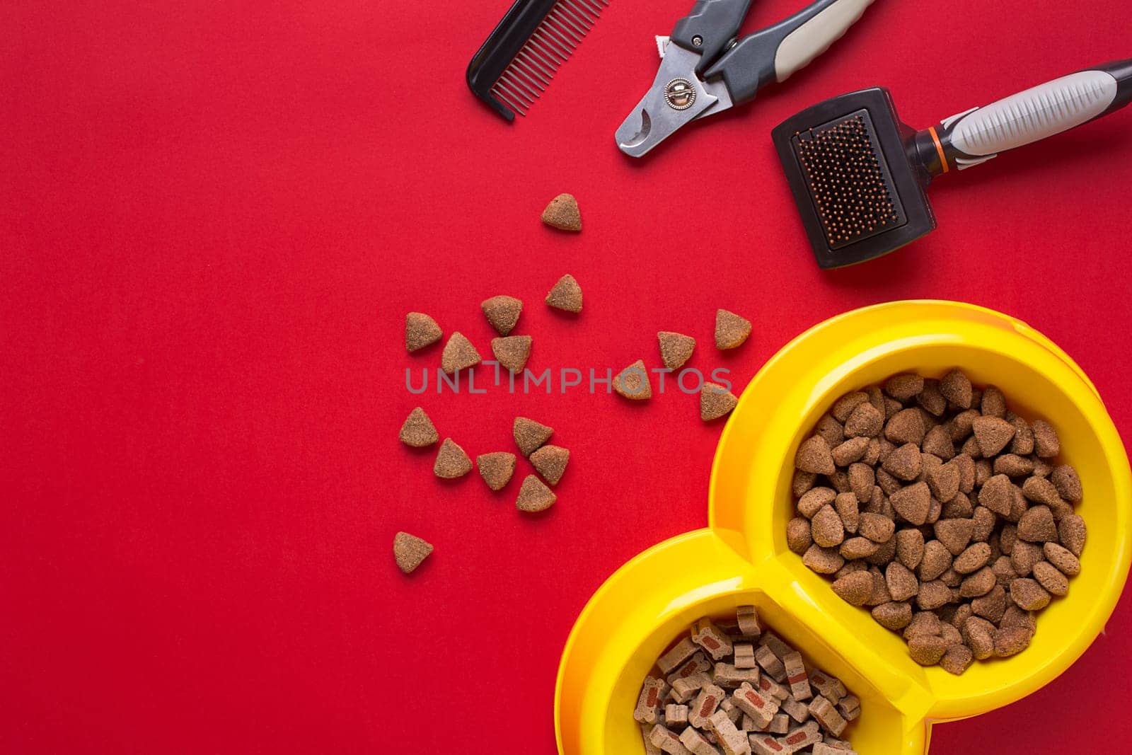 Pet accessories on red background. Top view. Still life. Copy space