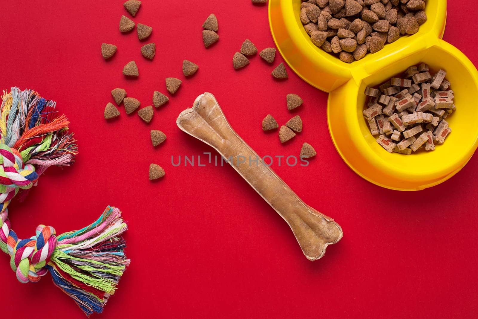Pet accessories on red background. Top view. Still life. Copy space