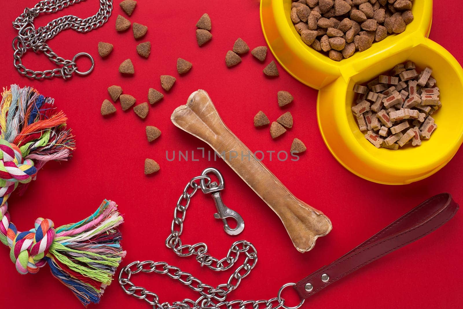 Pet accessories on red background. Top view. Still life. Copy space