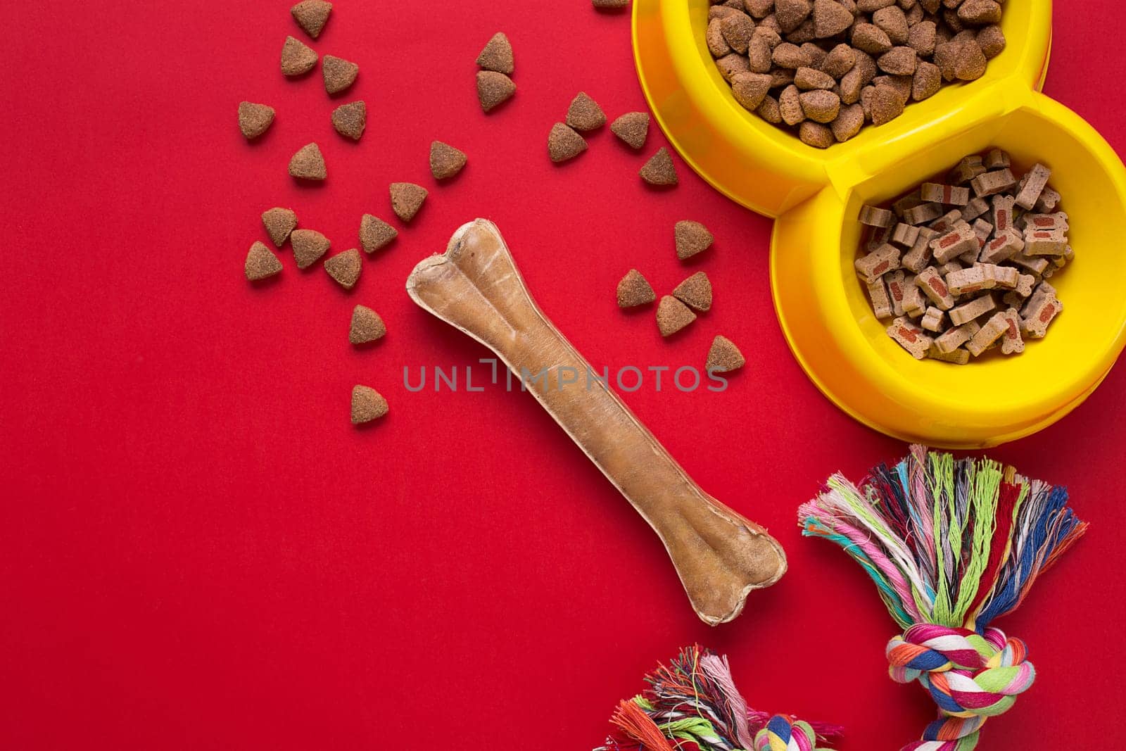 Pet accessories on red background. Top view. Still life. Copy space