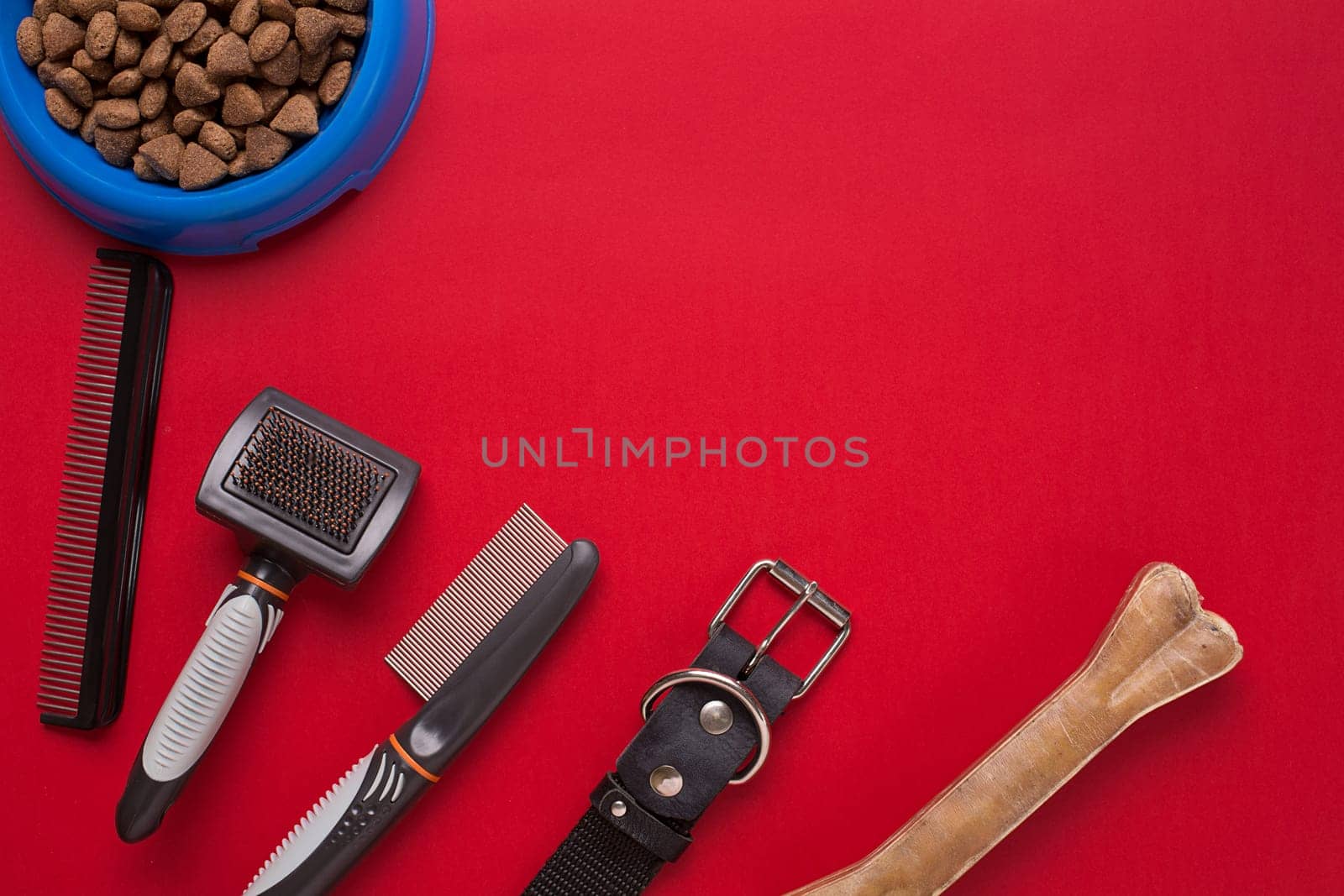 Pet accessories on red background. Top view. Still life. Copy space