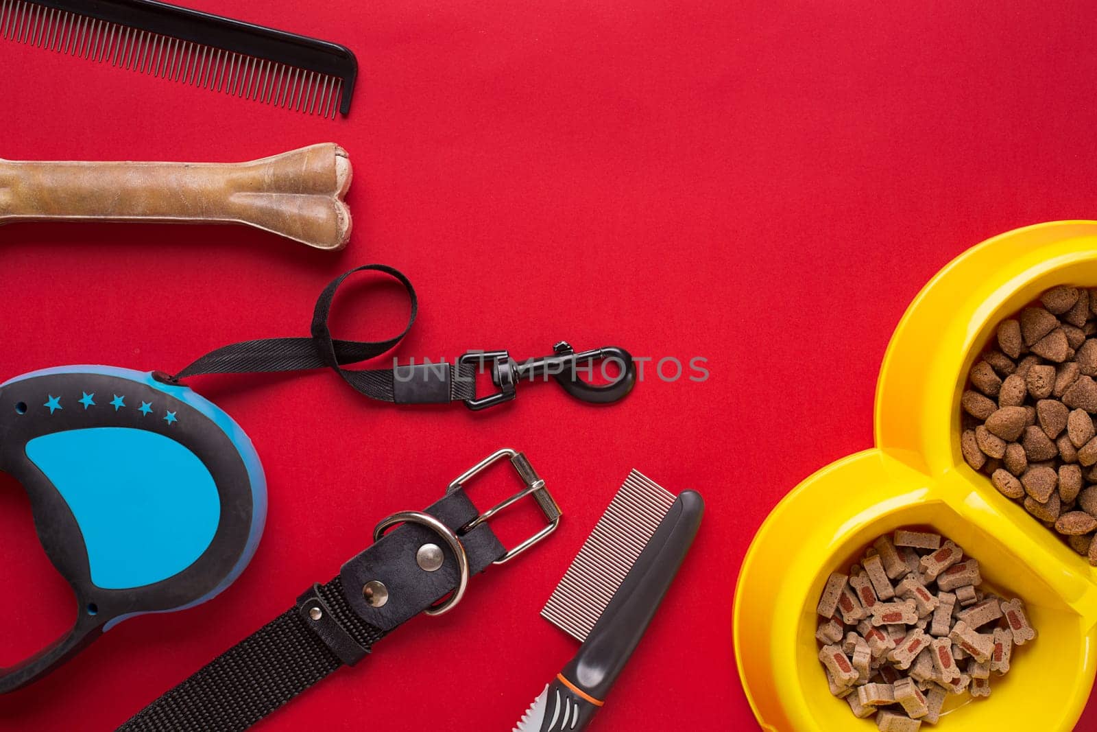 Pet accessories on red background. Top view. Still life. Copy space