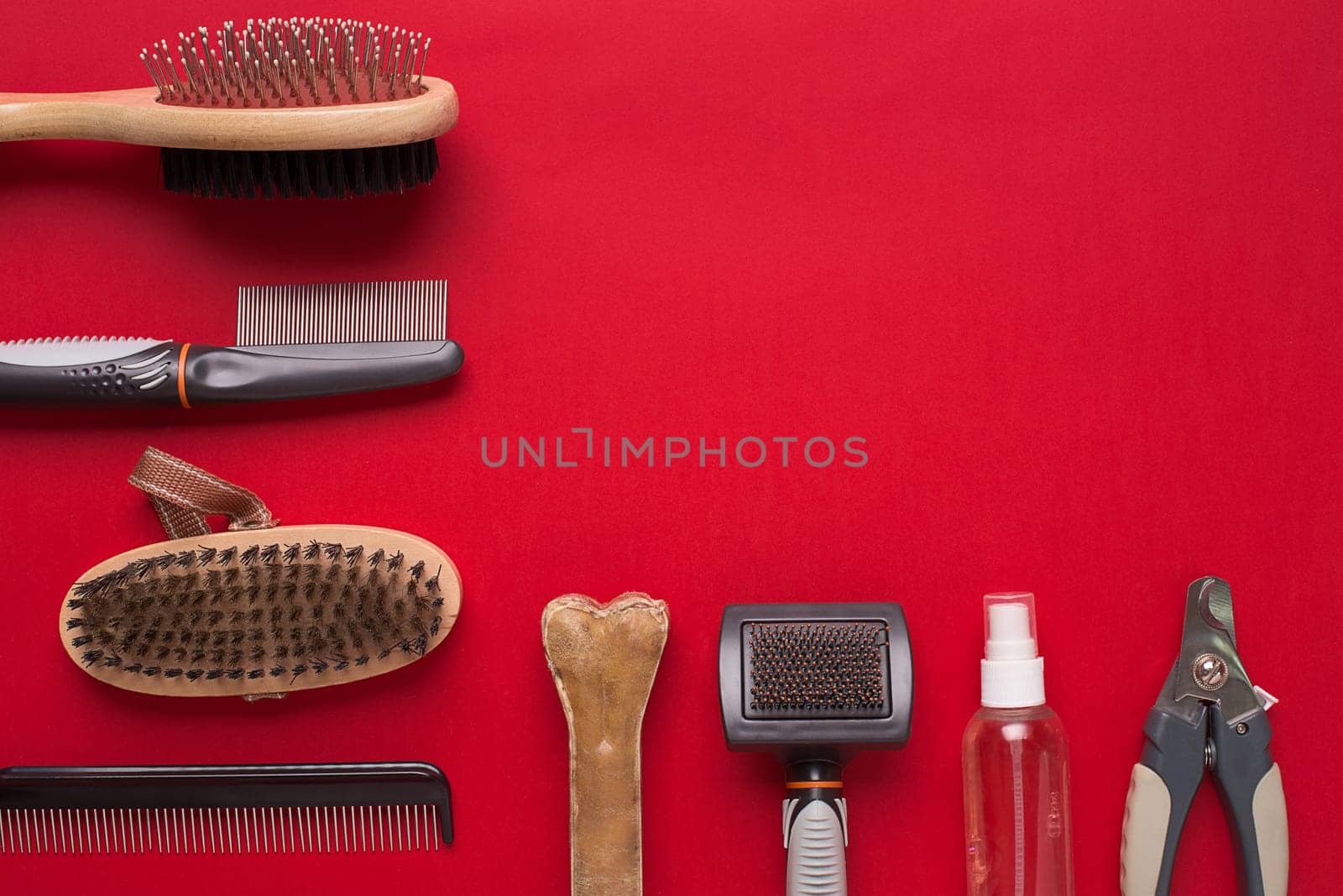 Pet accessories on red background. Top view. Still life. Copy space
