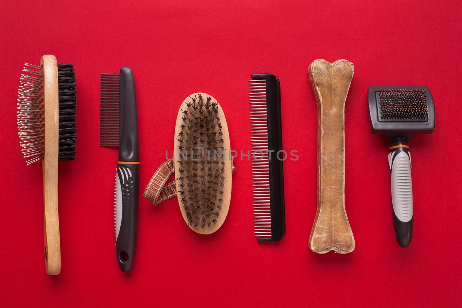 Pet accessories on red background. Top view. Still life. Copy space