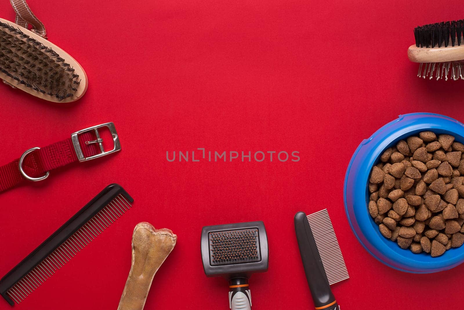 Pet accessories on red background. Top view. Still life. Copy space