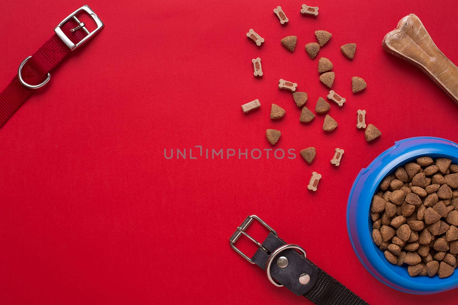Pet accessories on red background. Top view. Still life. Copy space