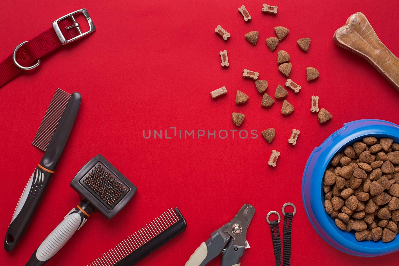 Pet accessories on red background. Top view. Still life. Copy space