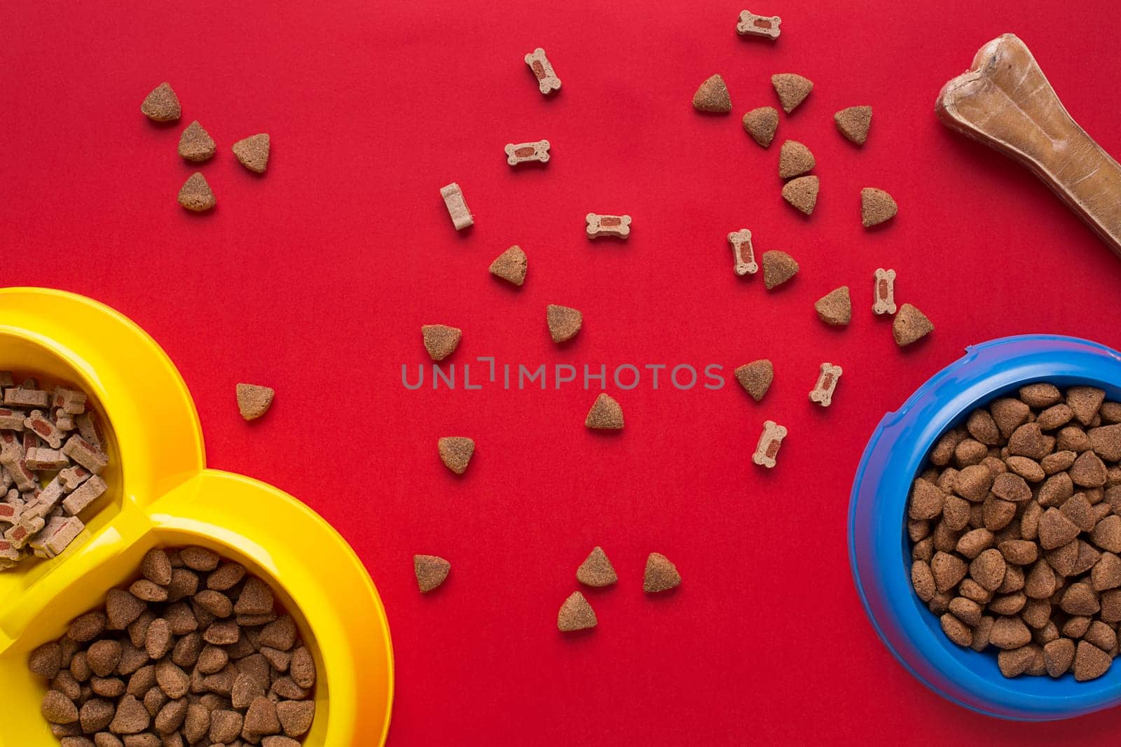 Pet accessories on red background. Top view. Still life. Copy space