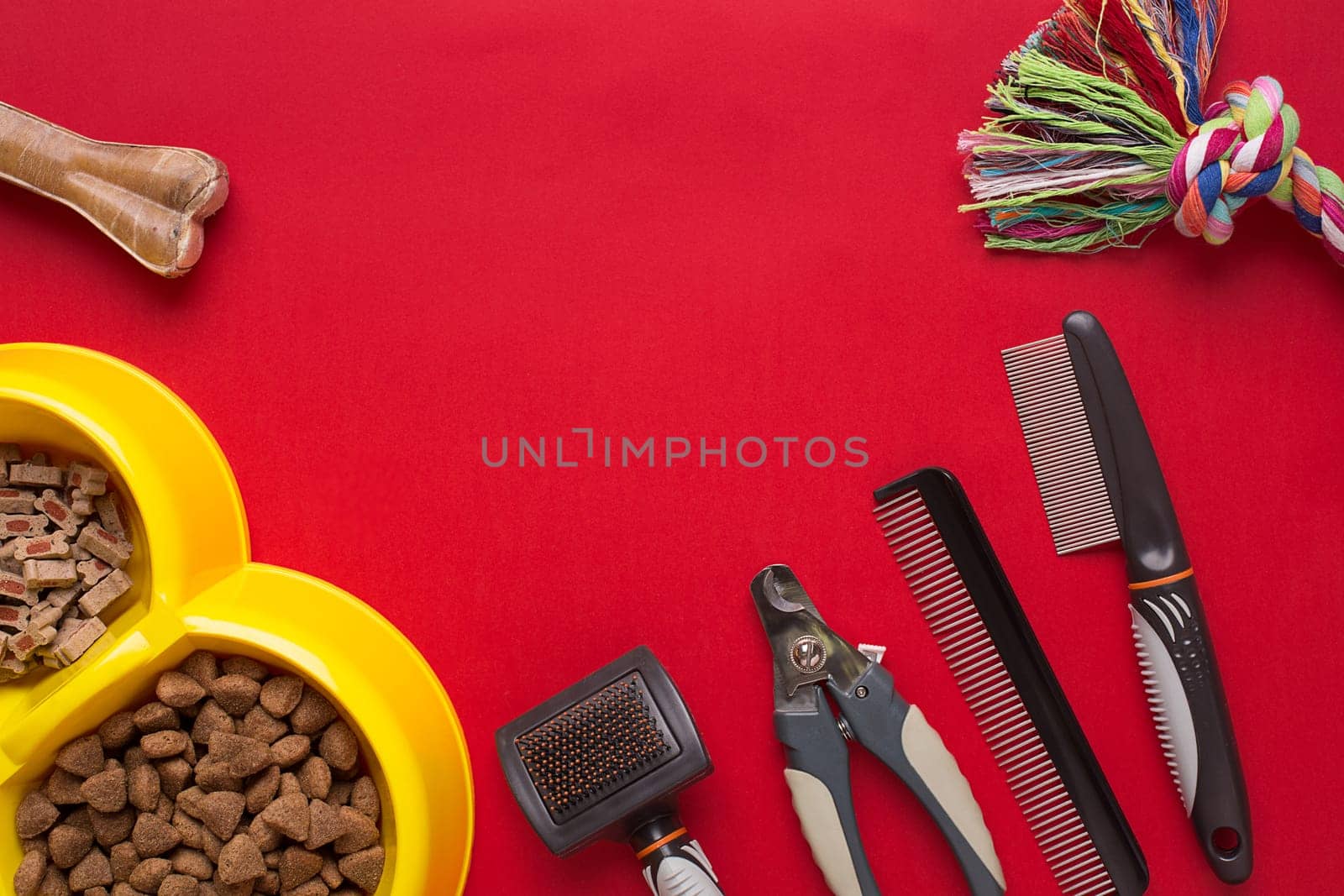 Pet accessories on red background. Top view. Still life. Copy space
