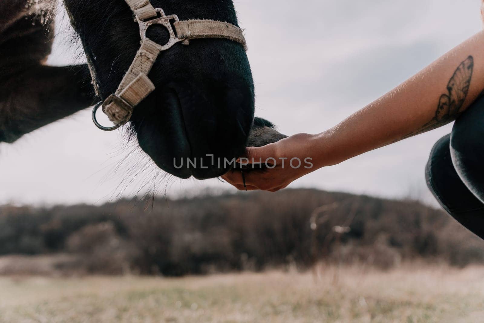 Cute happy young woman with horse. Rider female drives her horse in nature on evening sunset light background. Concept of outdoor riding, sports and recreation.