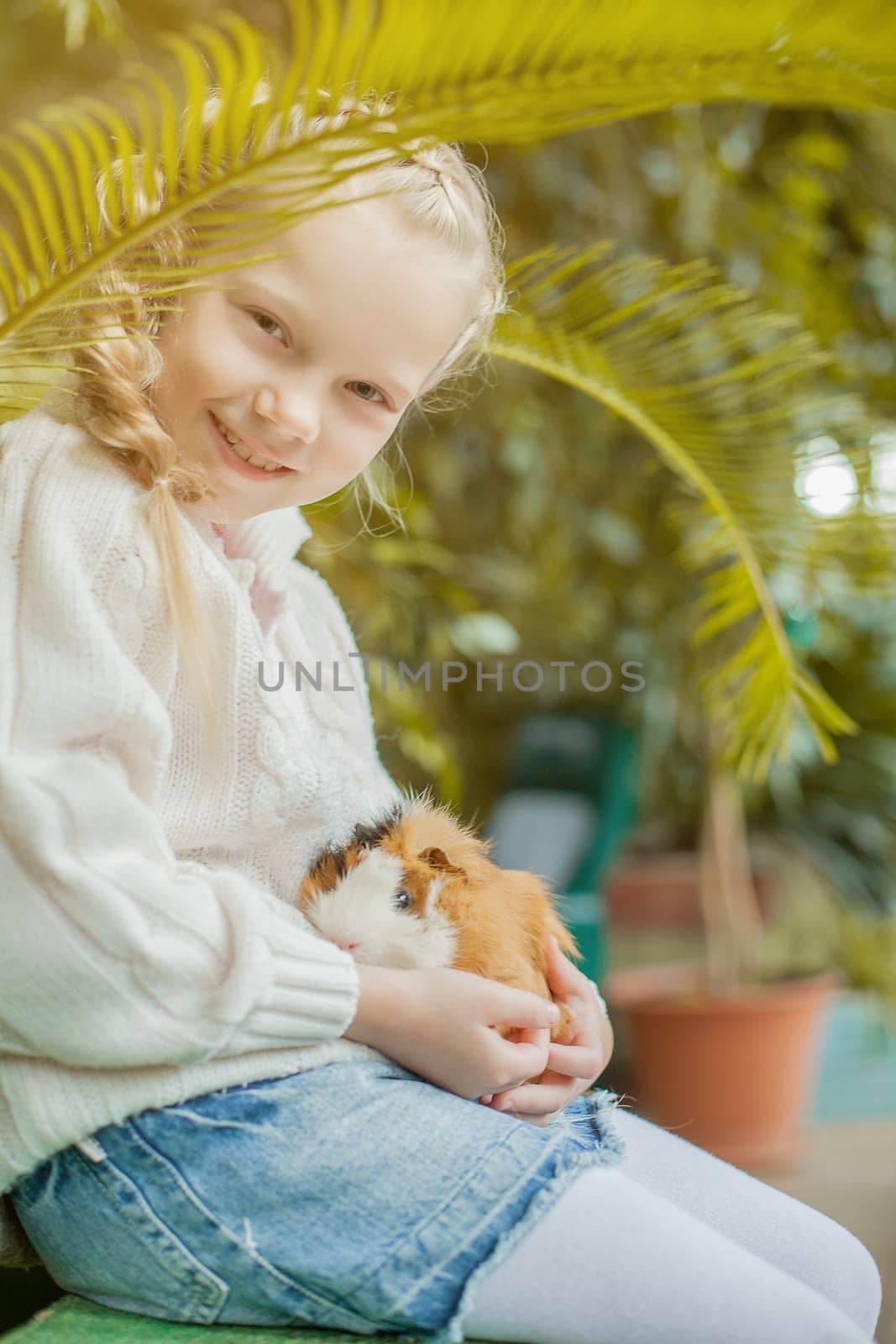 Portrait of adorable girl playing with cavy looking at camera