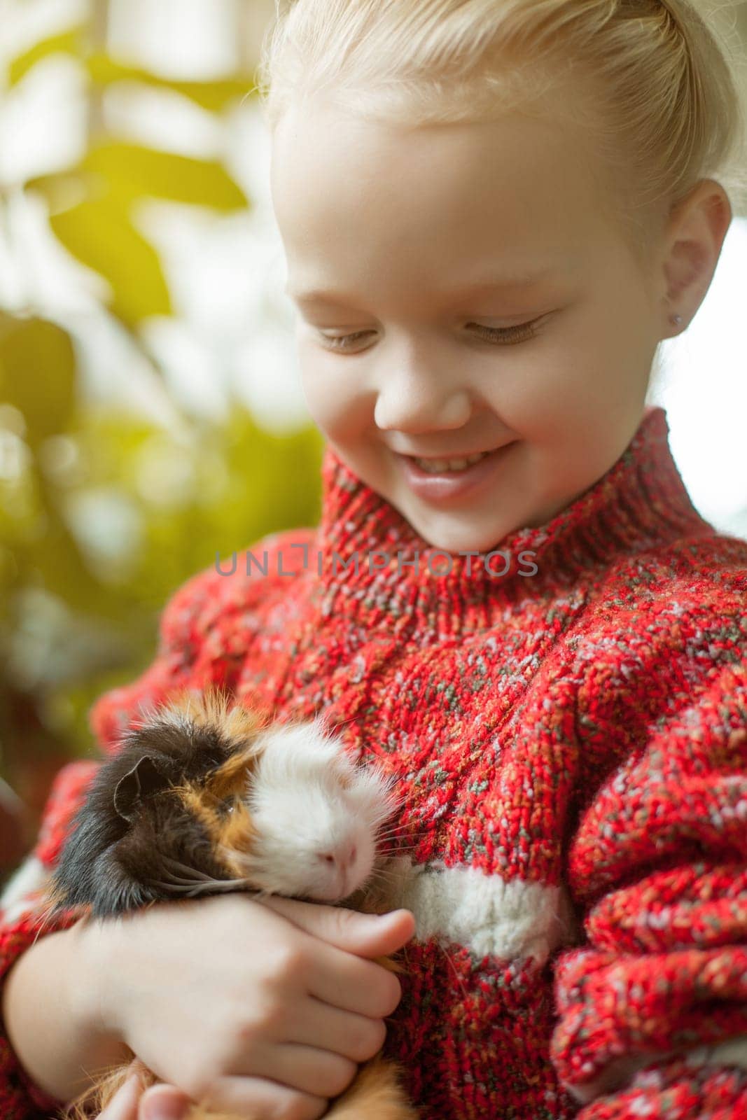 Portrait of smiling little girl looking at cavy, close-up