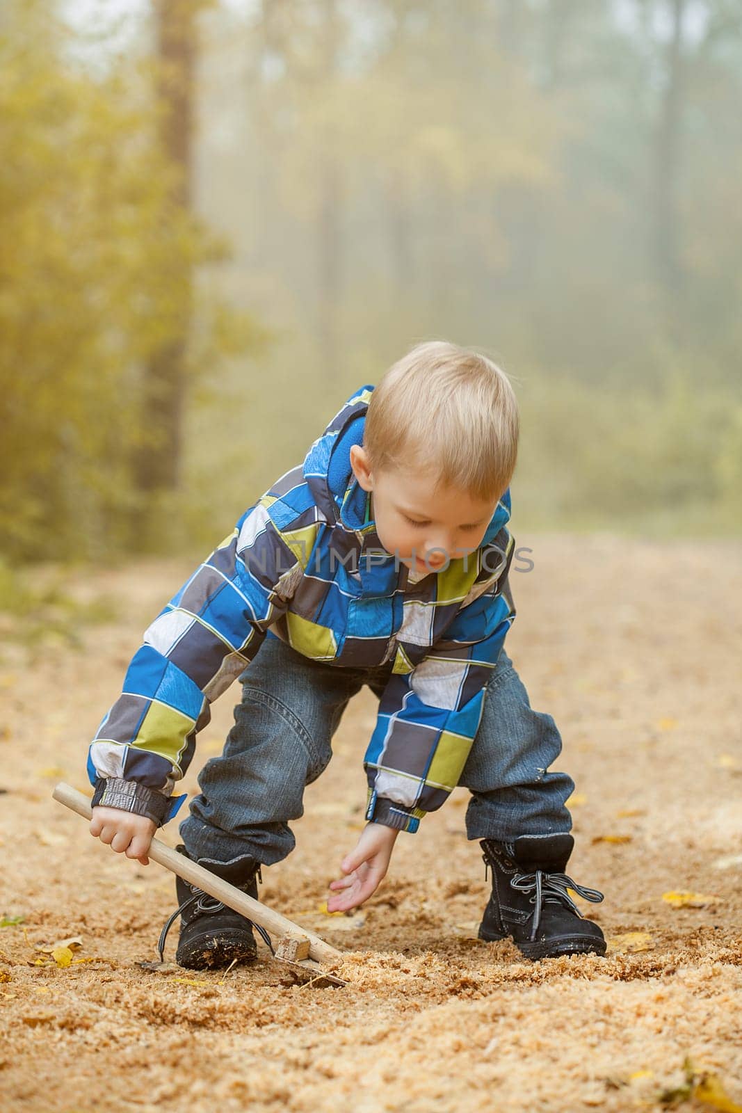 Image of cheerful boy playing in autumn park, close-up