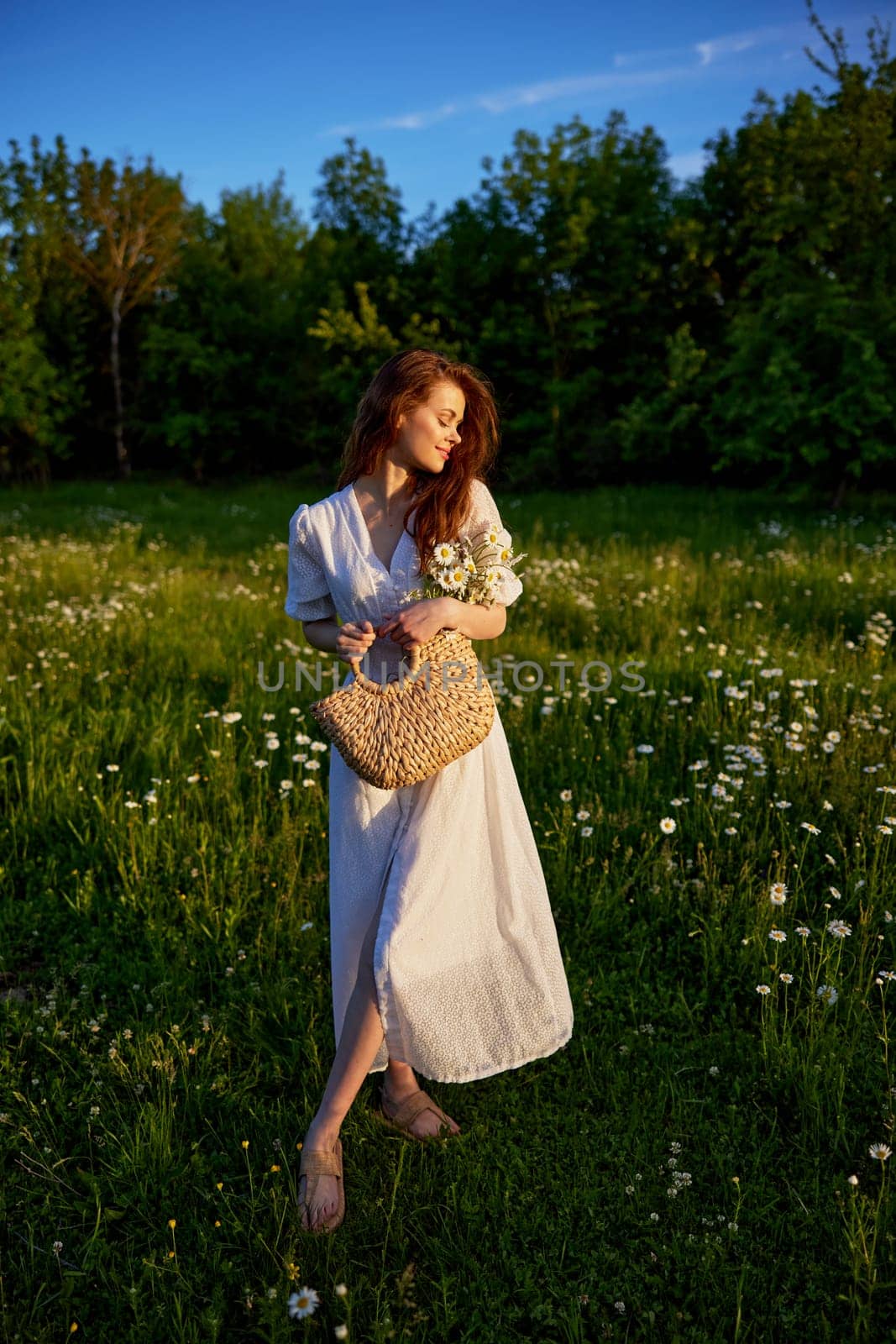a beautiful, happy woman in a light dress stands in a chamomile field in the rays of the setting sun. High quality photo
