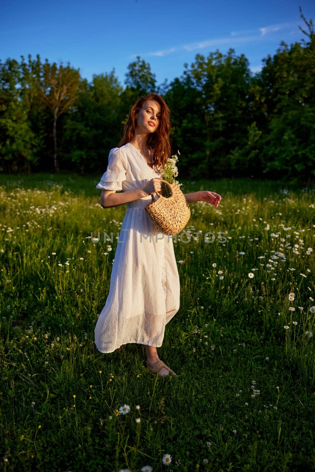 a beautiful, happy woman in a light dress stands in a chamomile field in the rays of the setting sun by Vichizh