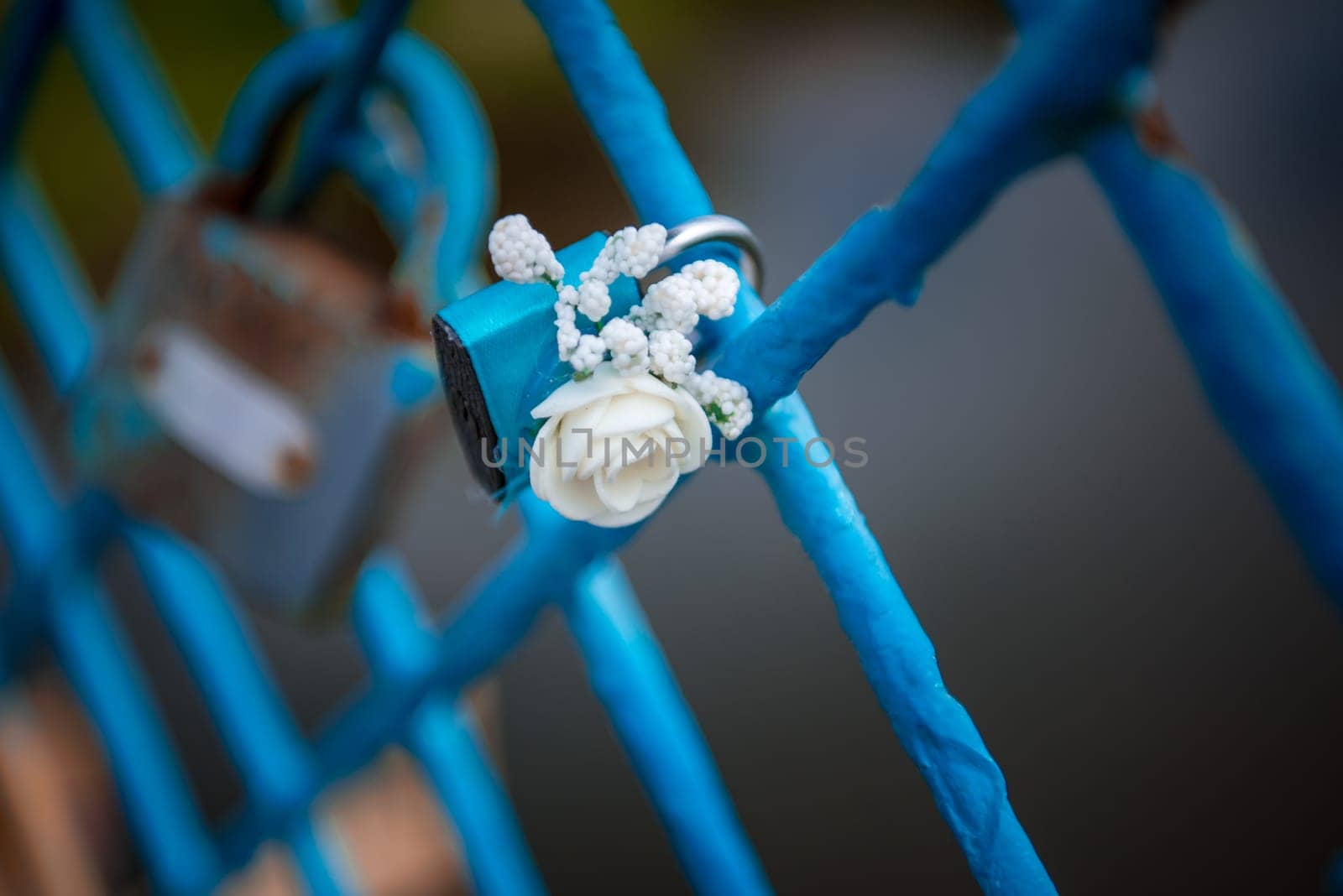 Blue lock wedding decorated with flower rose