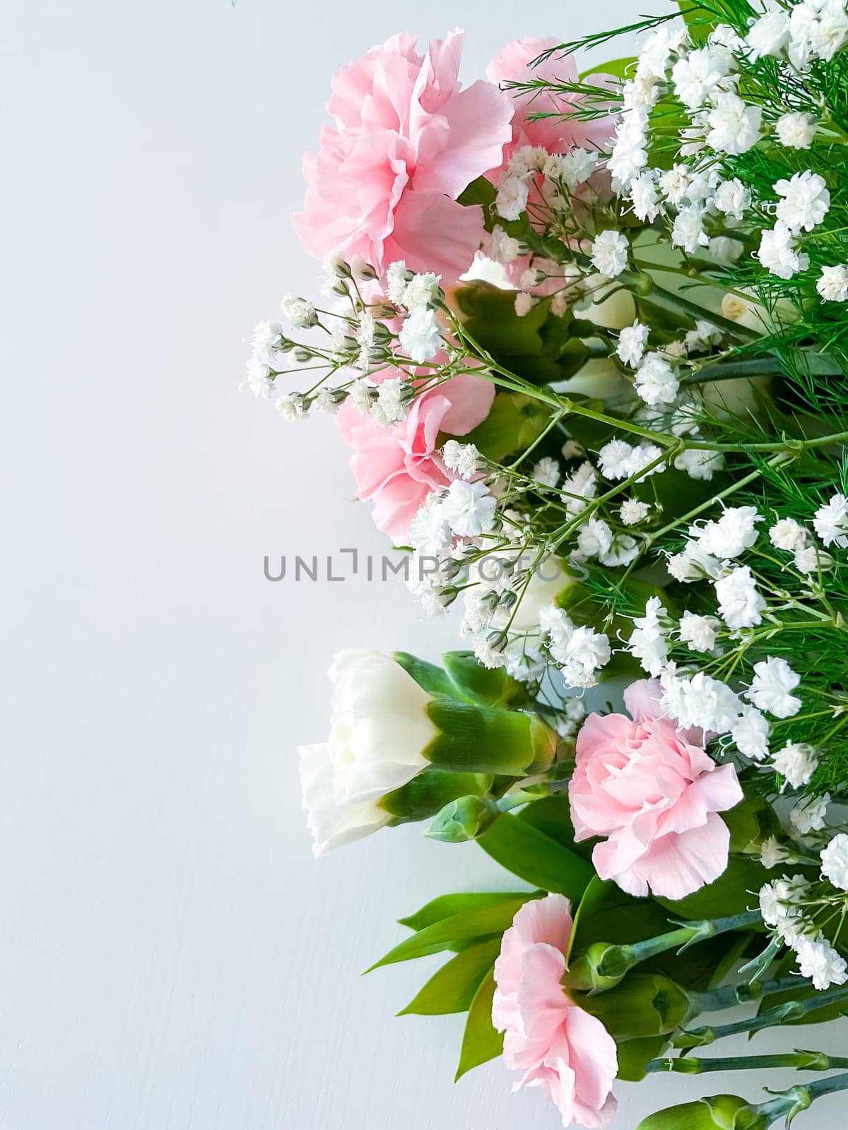 Close up photo of a bouquet of pink and white carnations isolated on a white background. With empty space for text or inscription. For postcard, advertisement or website.