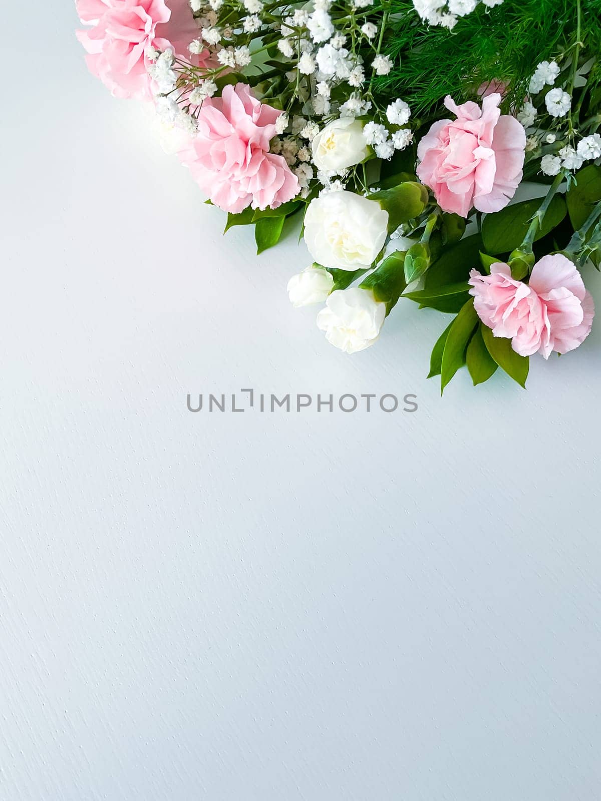 Close up photo of a bouquet of pink and white carnations isolated on a white background. With empty space for text or inscription. For postcard, advertisement or website.