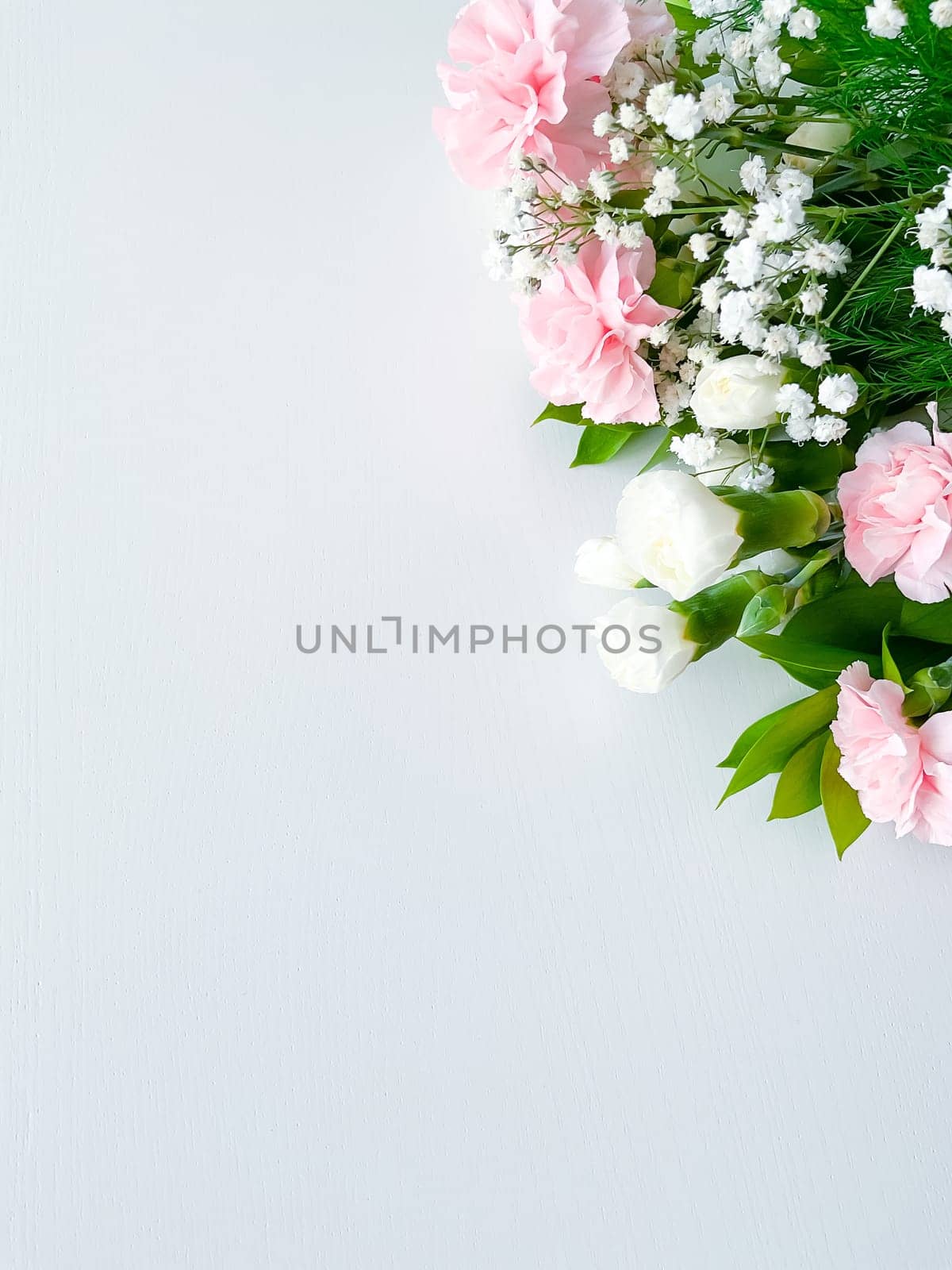 Close up photo of a bouquet of pink and white carnations isolated on a white background. With empty space for text or inscription. For postcard, advertisement or website.