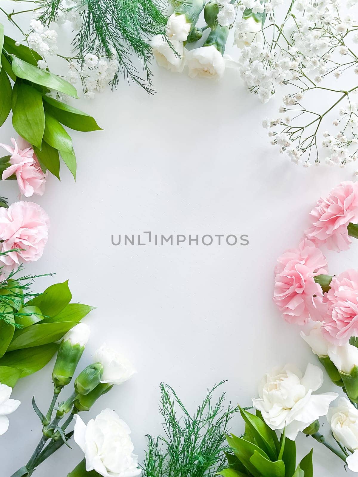 Close up photo of a bouquet of pink and white carnations isolated on a white background. With empty space for text or inscription. For postcard, advertisement or website.