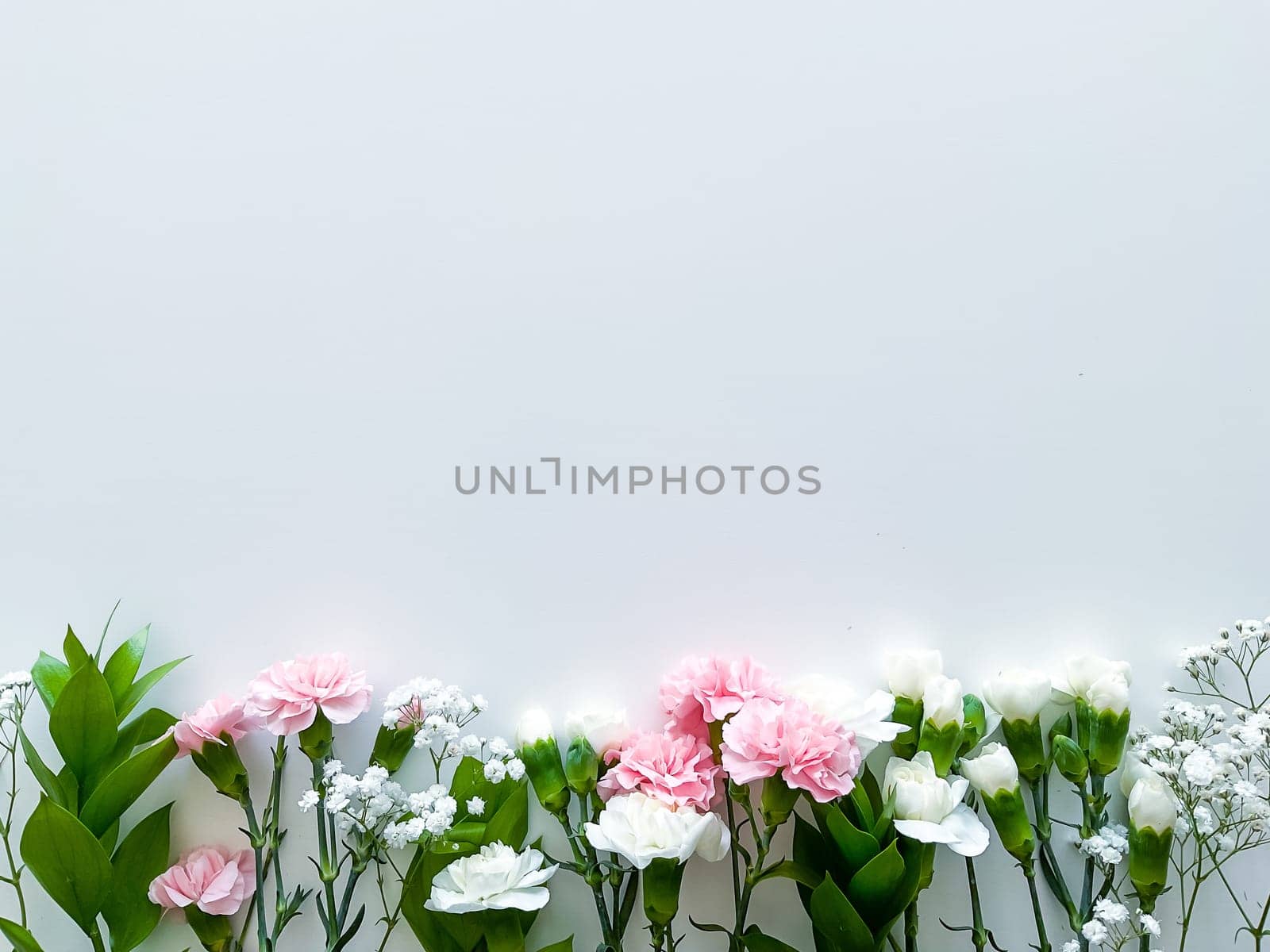 Close up photo of a bouquet of pink and white carnations isolated on a white background. With empty space for text or inscription. For postcard, advertisement or website.