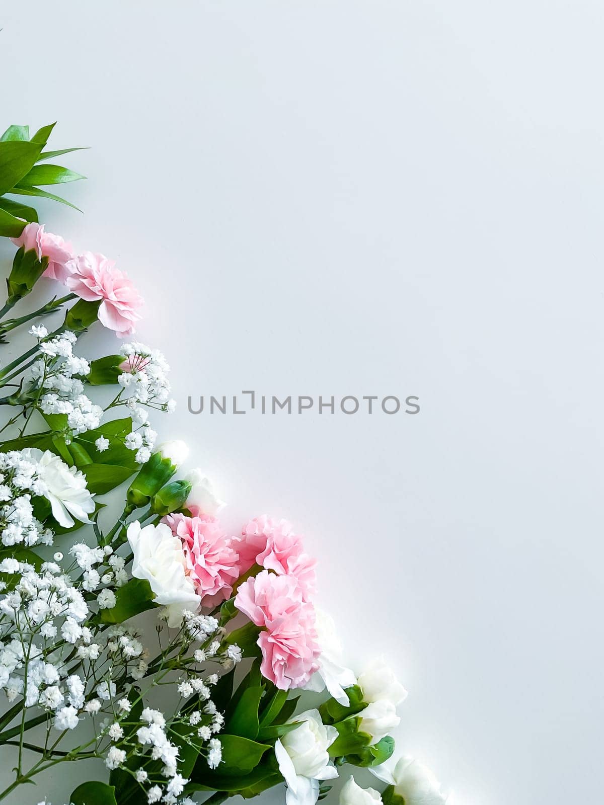 Close up photo of a bouquet of pink and white carnations isolated on a white background. With empty space for text or inscription. For postcard, advertisement or website.