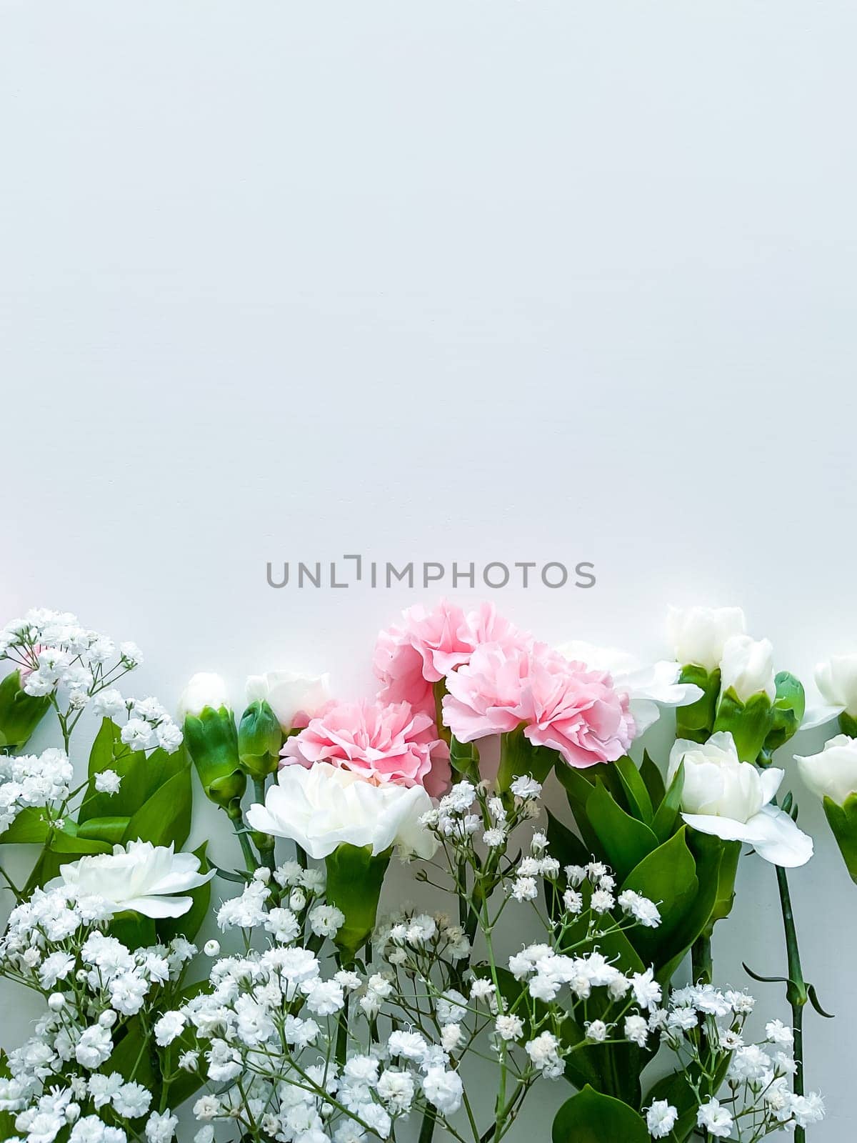 Close up photo of a bouquet of pink and white carnations isolated on a white background. With empty space for text or inscription. For postcard, advertisement or website.