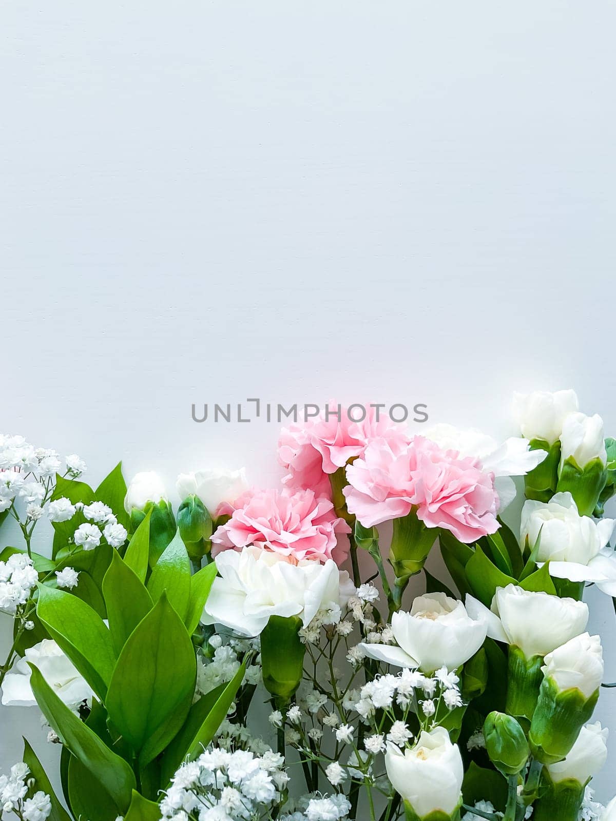 Close up photo of a bouquet of pink and white carnations isolated on a white background. With empty space for text or inscription. For postcard, advertisement or website.