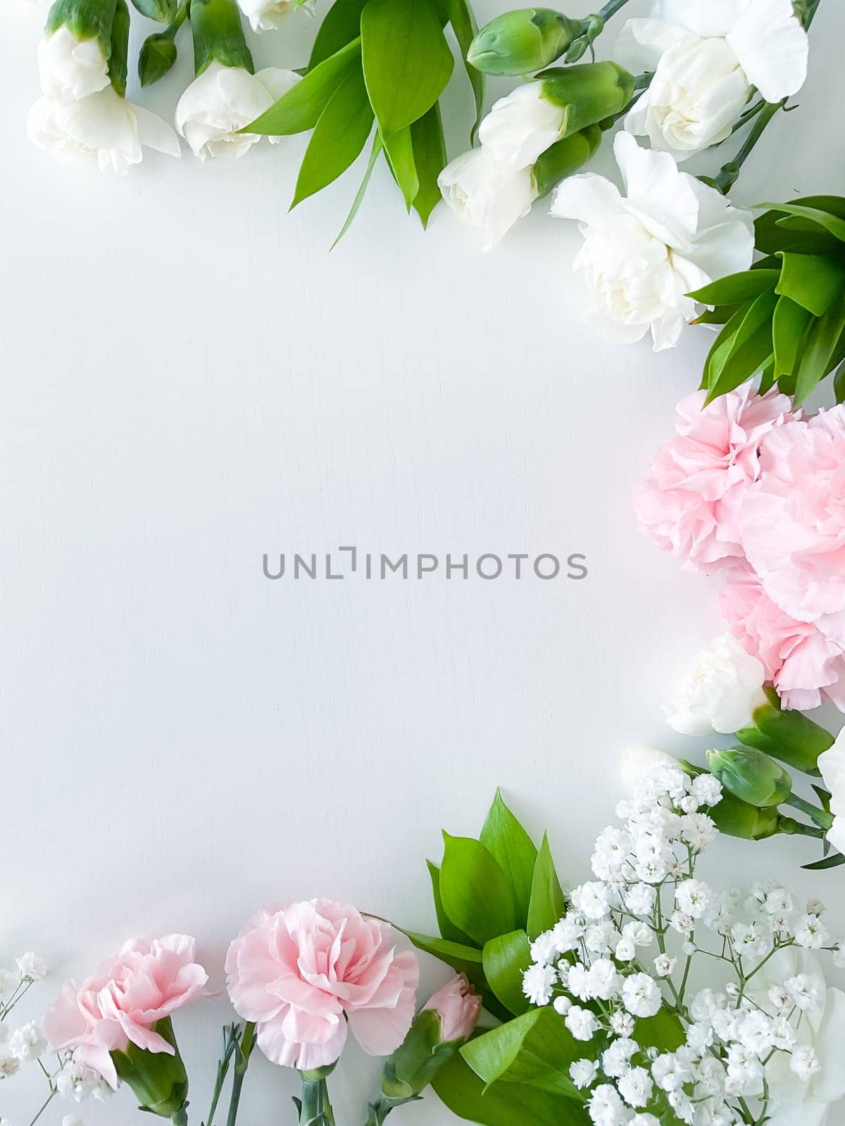 Close up photo of a bouquet of pink and white carnations isolated on a white background. With empty space for text or inscription. For postcard, advertisement or website.