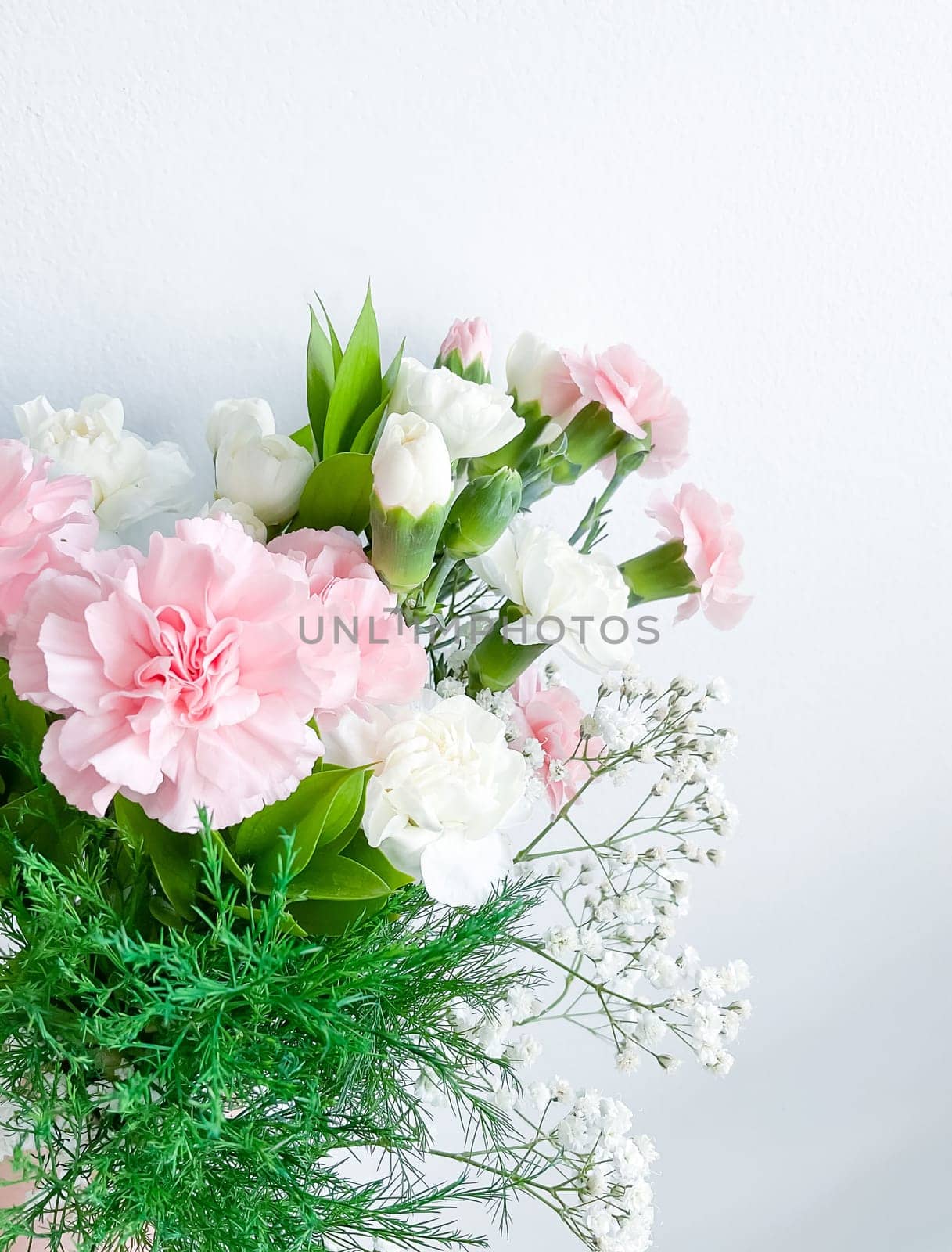 Close up photo of a bouquet of pink carnations isolated on a white background. Dew drops on flowers